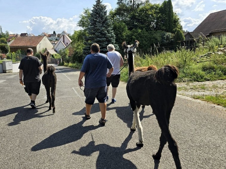Der Humankicker beim Sommerfest der Nüdlinger Werkstatt 